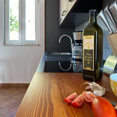 Delfin Rab Apartment Supetarska Draga