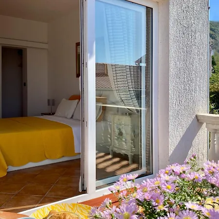 Delfin Rab سوبيتارسكا دراغا