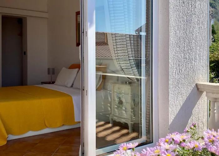 Delfin Rab Supetarska Draga